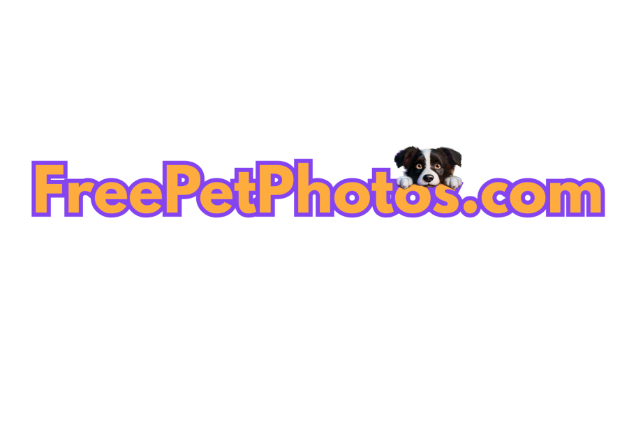 free pet photos logo